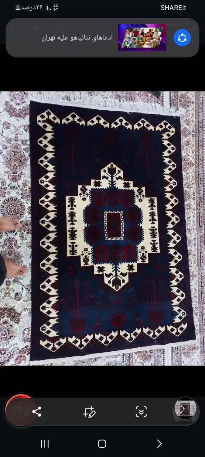 فرش دستبافت شاهسوند|فرش|کرمانشاه, |دیوار