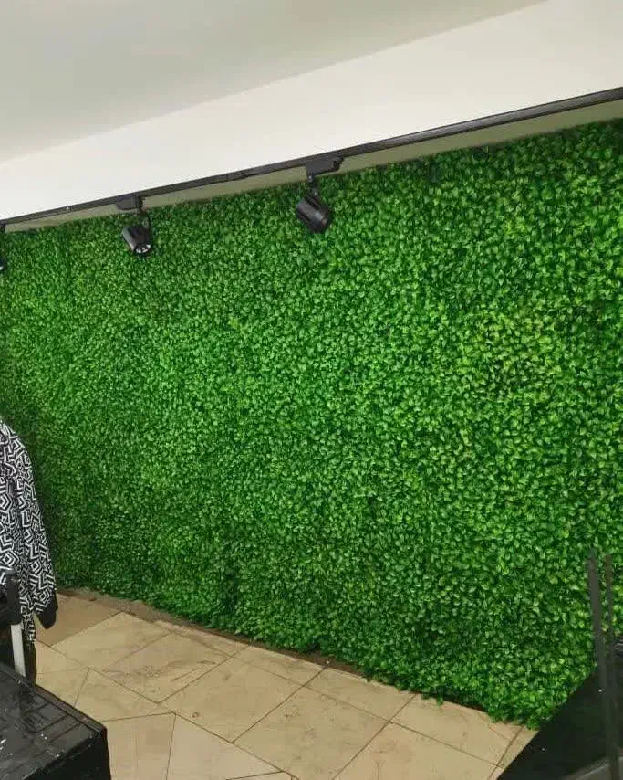 نصب گرین وال|خدمات پیشه و مهارت|کاشان, کوچه باسکول|دیوار