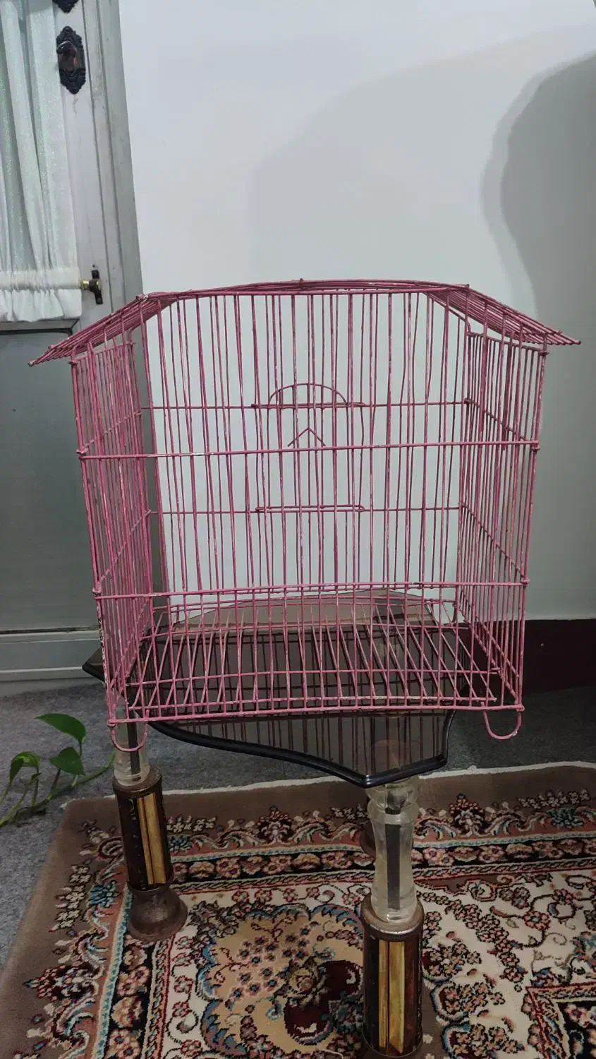 قفس کوچک پرنده|لوازم جانبی حیوانات|بهشهر, |دیوار