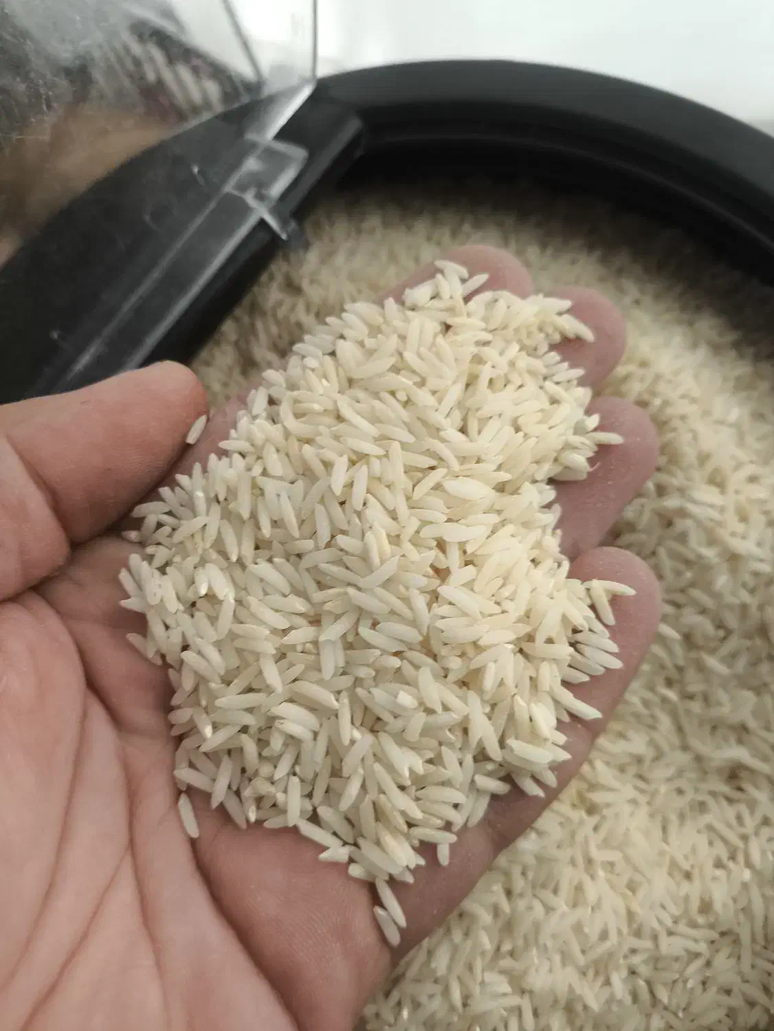 برنج هاشمی سورتینگ شده|خوردنی و آشامیدنی|رضوانشهر, |دیوار