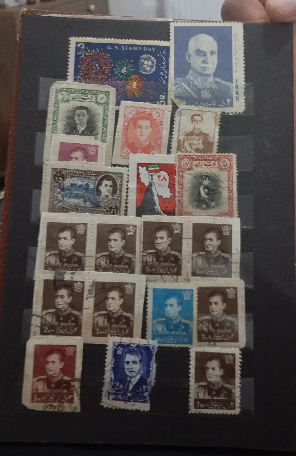 آلبوم عکسهای تمر شاهی|کلکسیون سکه، تمبر، اسکناس|پلدختر, |دیوار