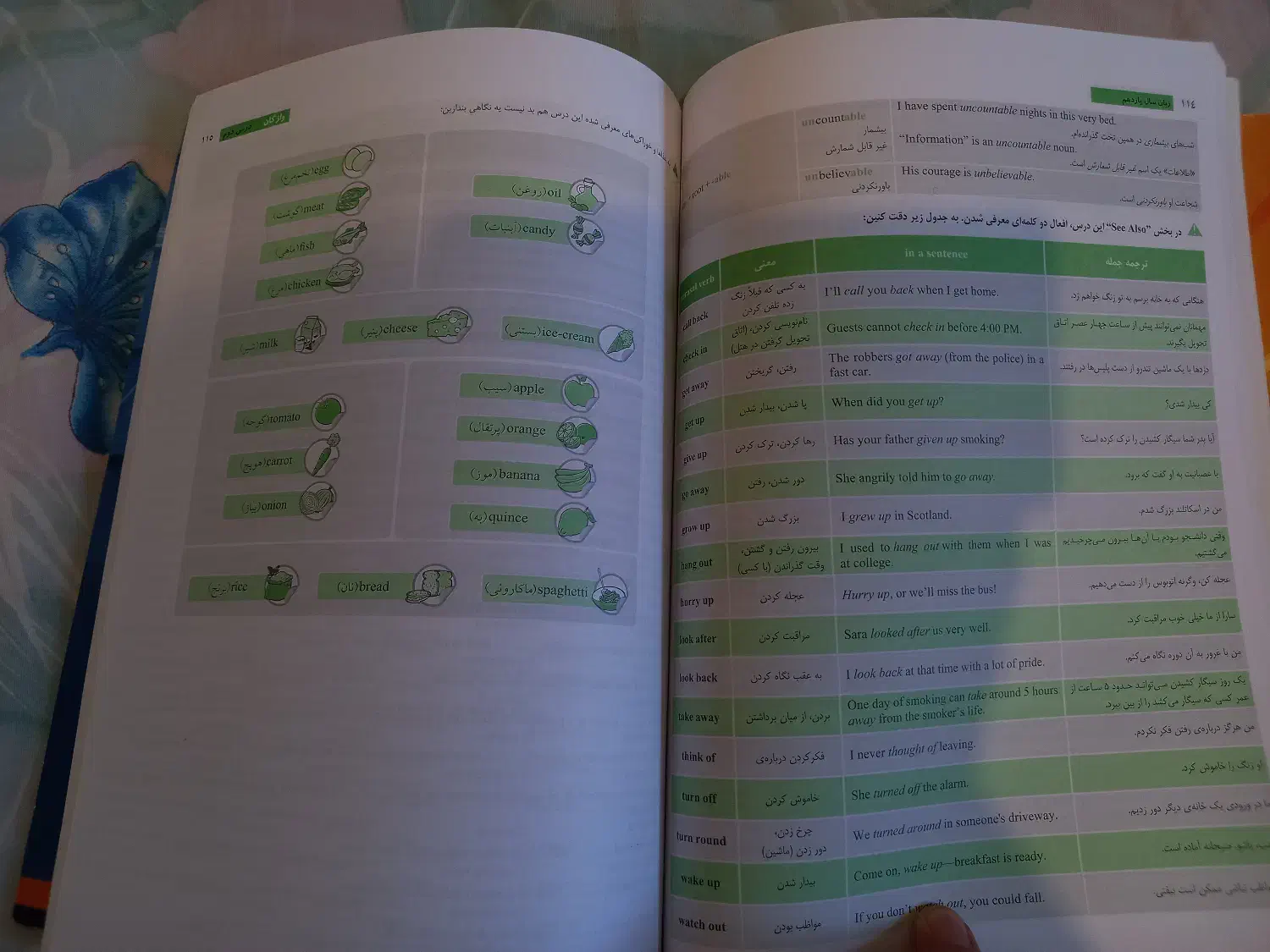 کتاب زبان مبتکران دکتر شهاب اناری + واژه نامه|کتاب و مجله آموزشی|فولادشهر, B6|دیوار