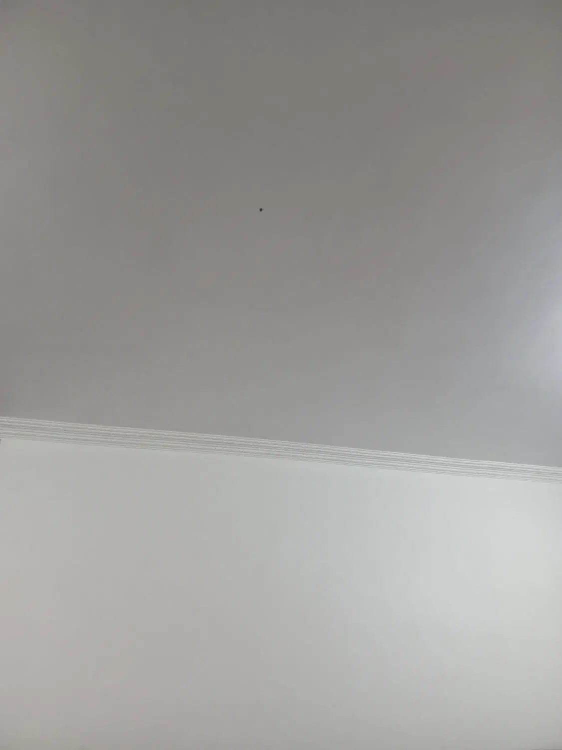 دیوار چینی نرماشیر|خدمات پیشه و مهارت|نرماشیر, |دیوار