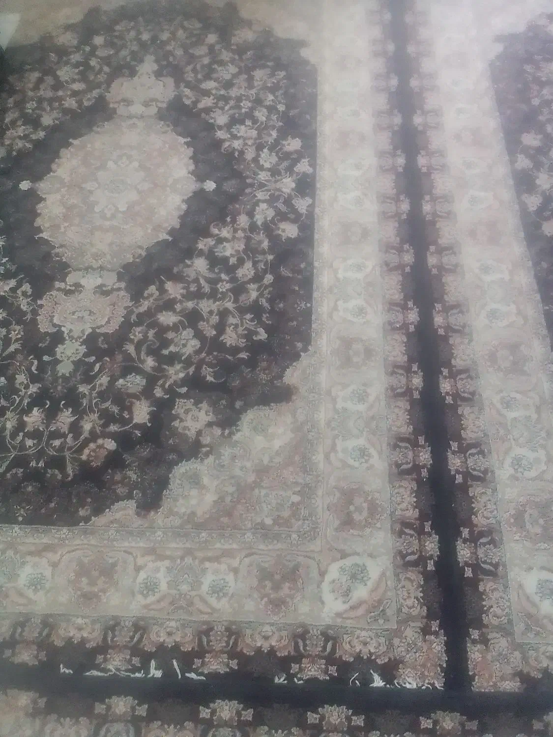 ۴ عدد فرش ۶متری|فرش|بروجرد, |دیوار