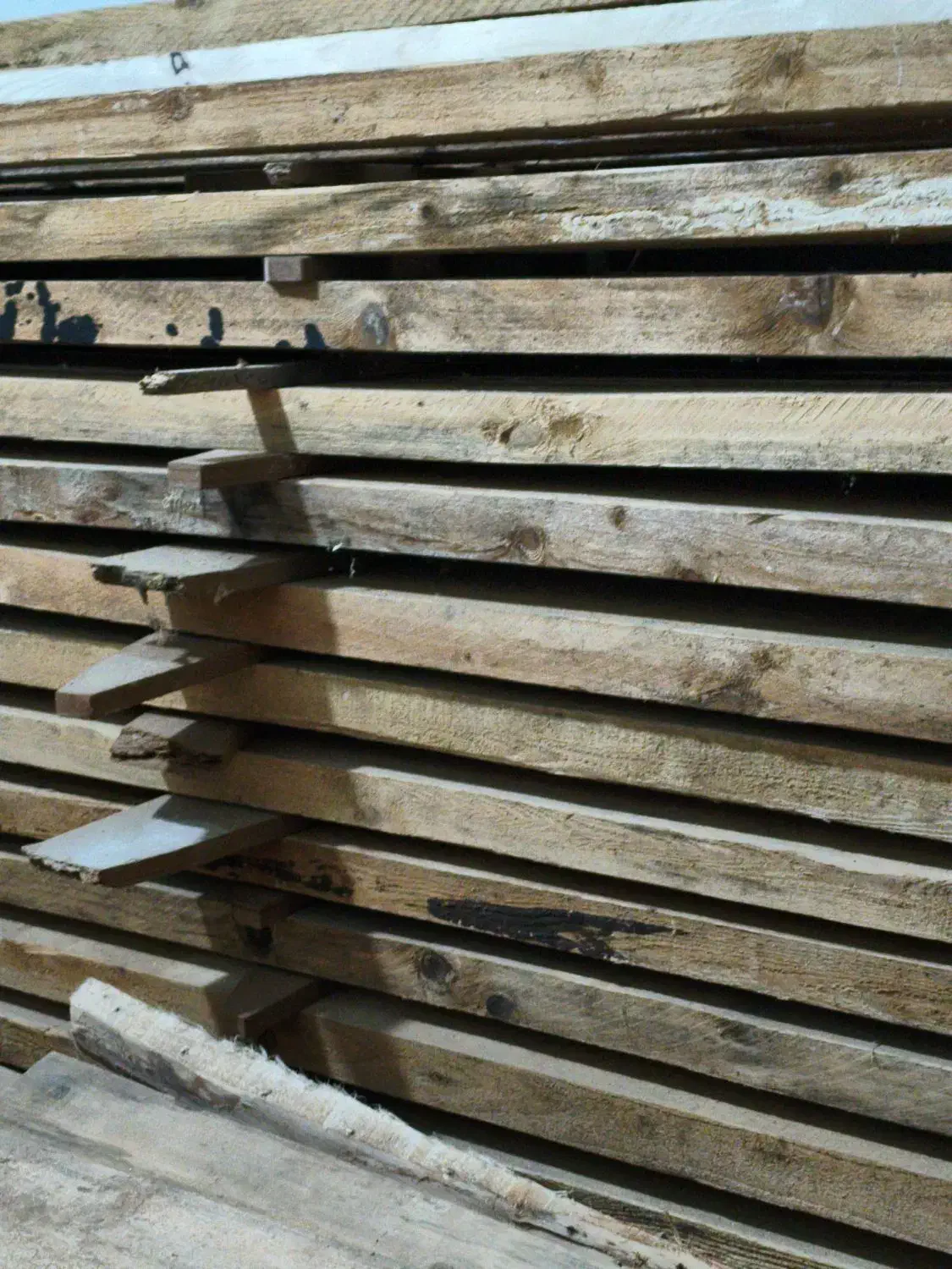 الوار روسی|عمده‌فروشی|کلاله, |دیوار