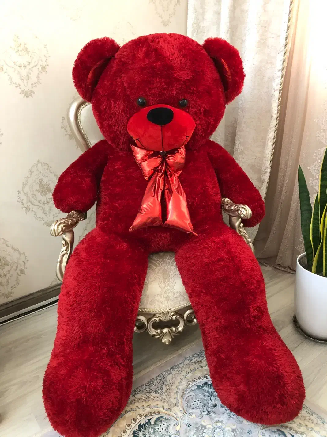 خرس خارجی|اسباب‌‌بازی|اردبیل, |دیوار