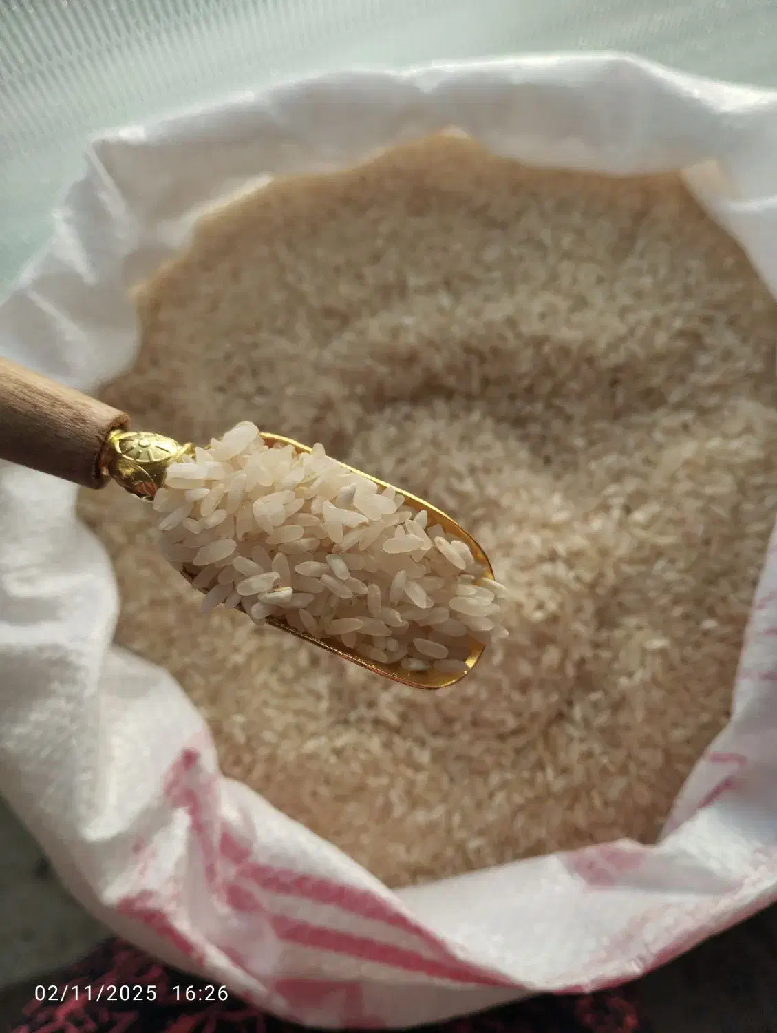 برنج و برنج نیم دانه اصل کامفیروزی|خوردنی و آشامیدنی|کر, |دیوار