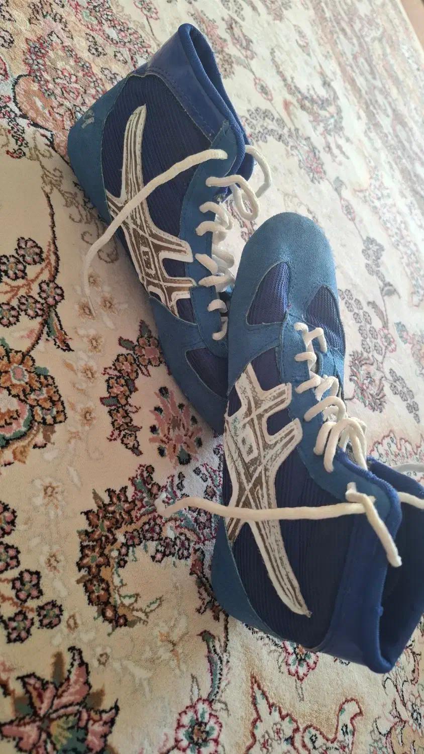 کفش کشتی در حد نو|کیف، کفش، کمربند|سلماس, |دیوار