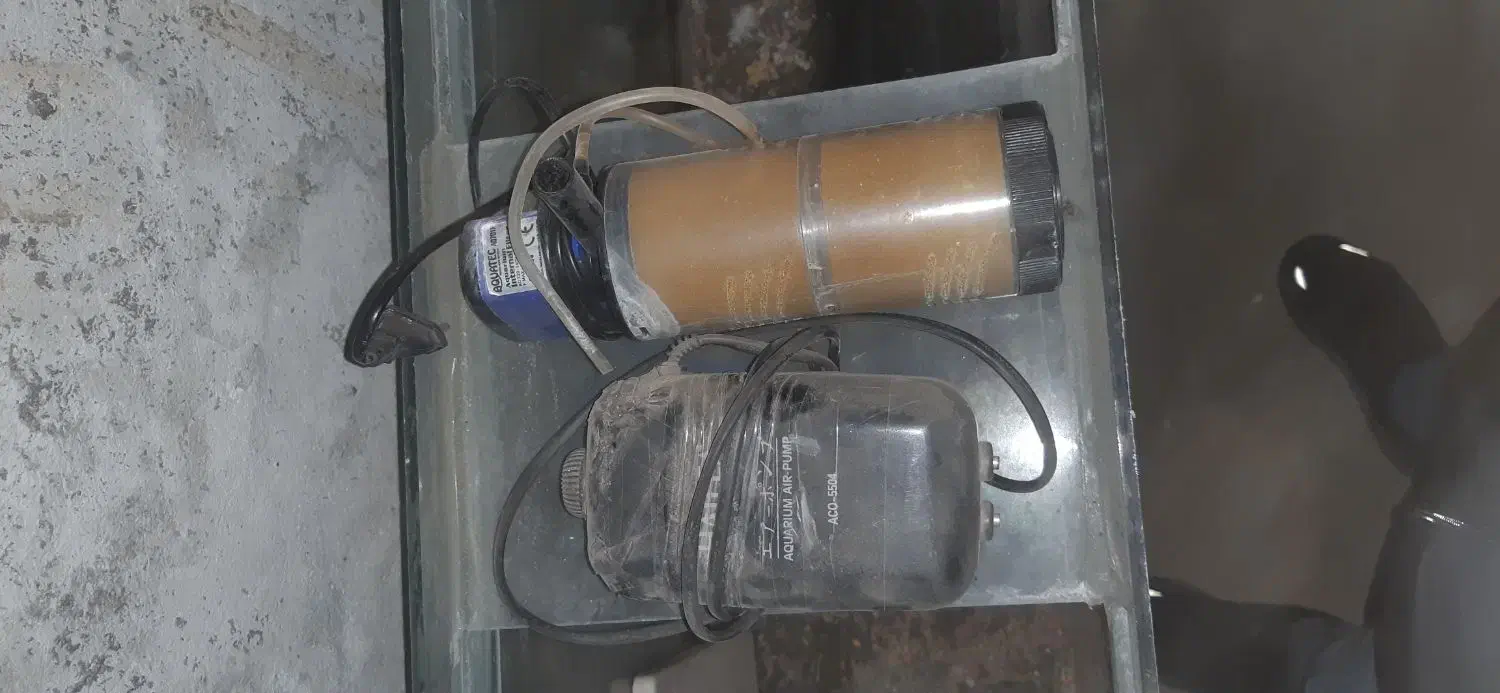 آکواریوم پایه آهنی محکم ضدزنگ|ماهی|تاکستان, |دیوار