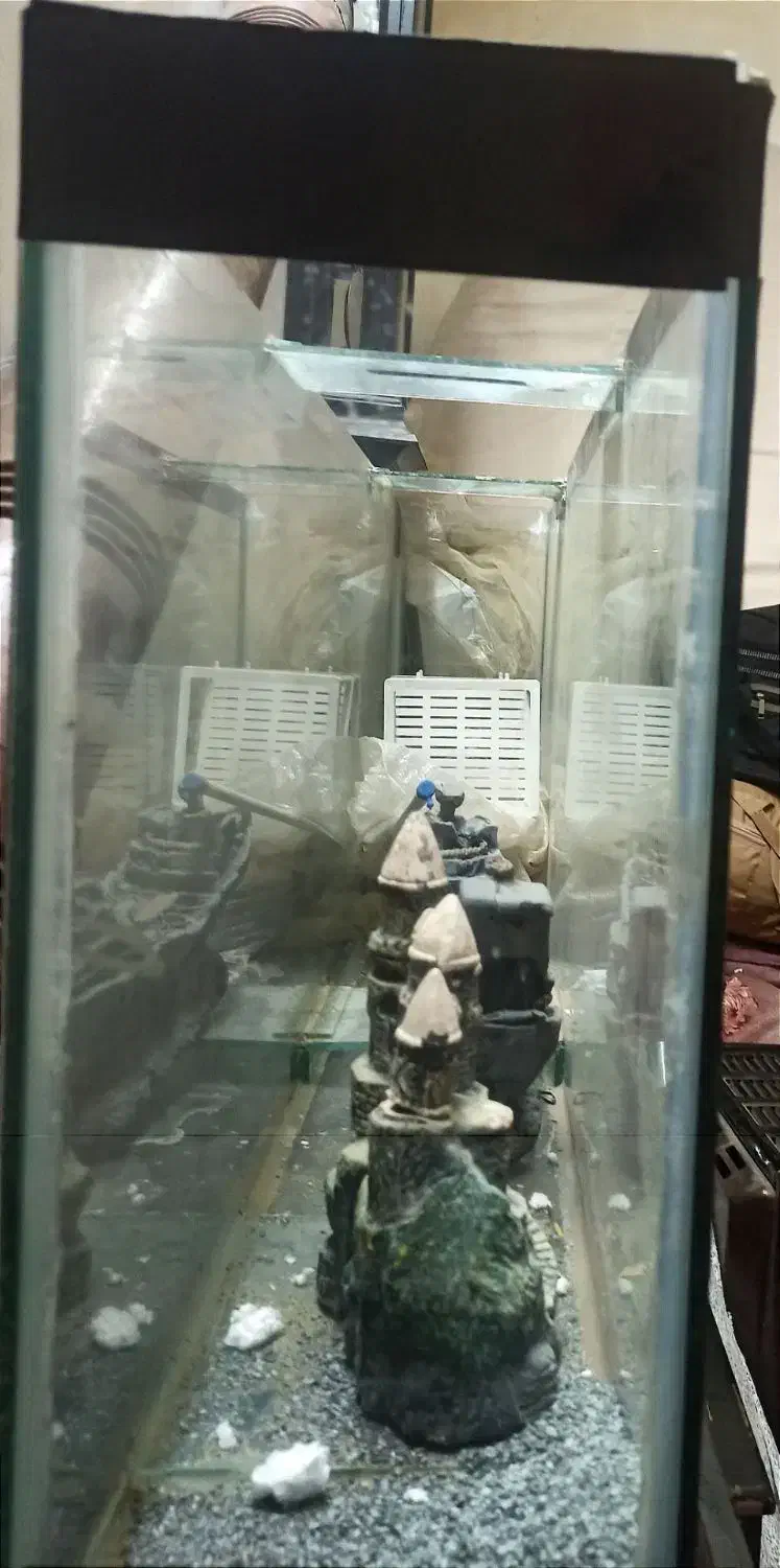 اکواریوم|ماهی|تربت جام, شهرک معلم|دیوار