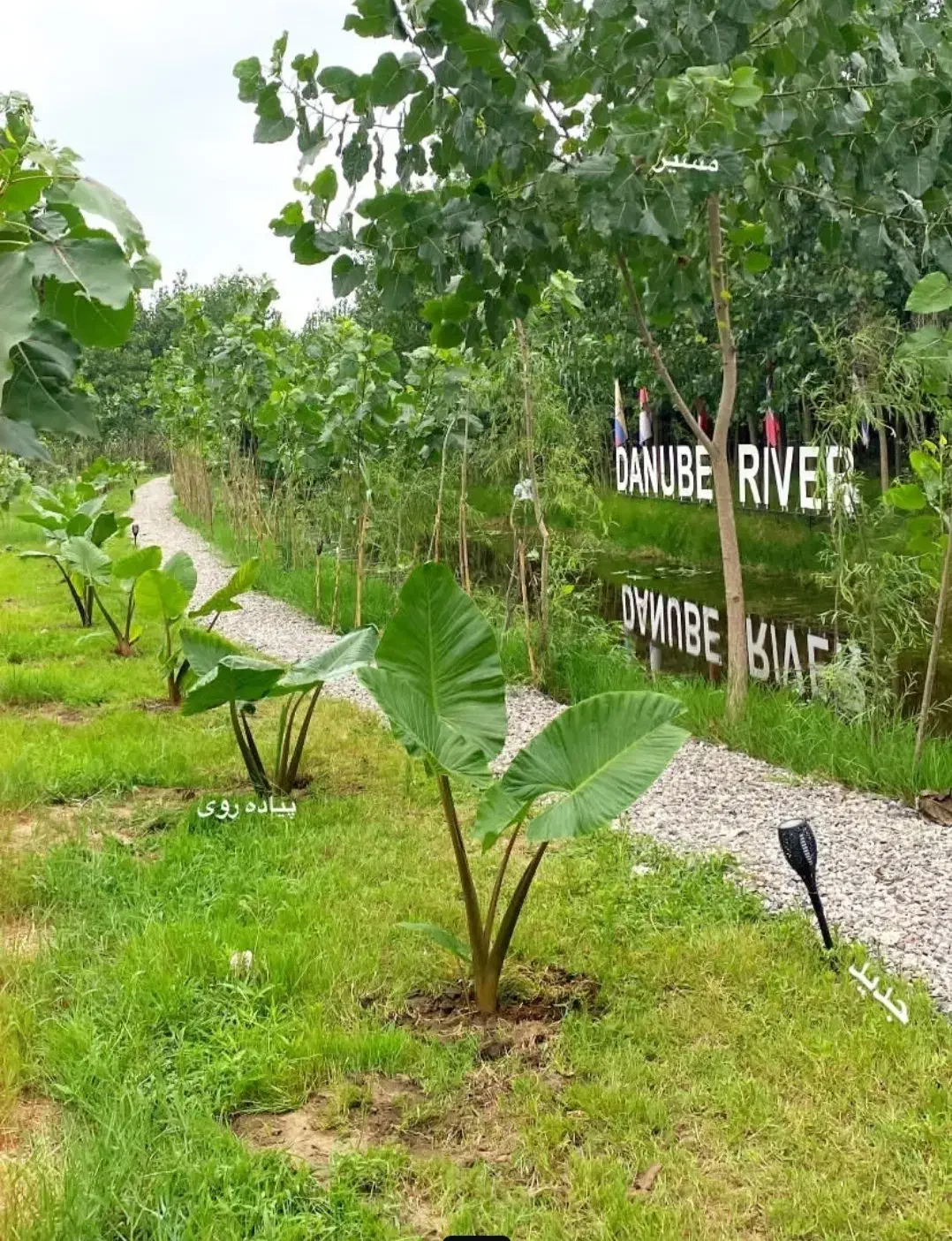 آرامش رو در قلب طبیعت تجربه کنید|فروش خانه و ویلا|شاهدشهر, |دیوار