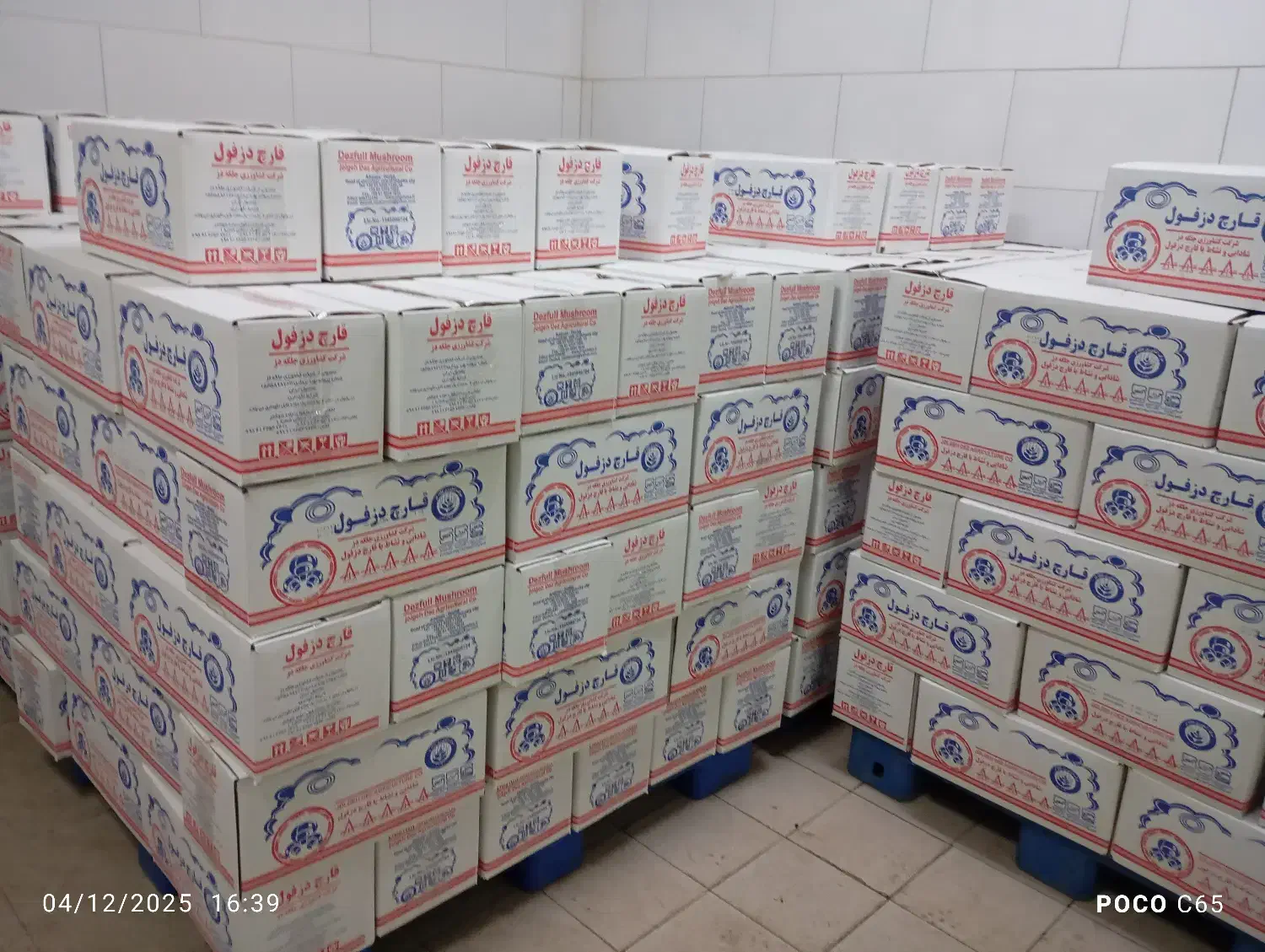 قارج درجه یک|خوردنی و آشامیدنی|اندیمشک, |دیوار