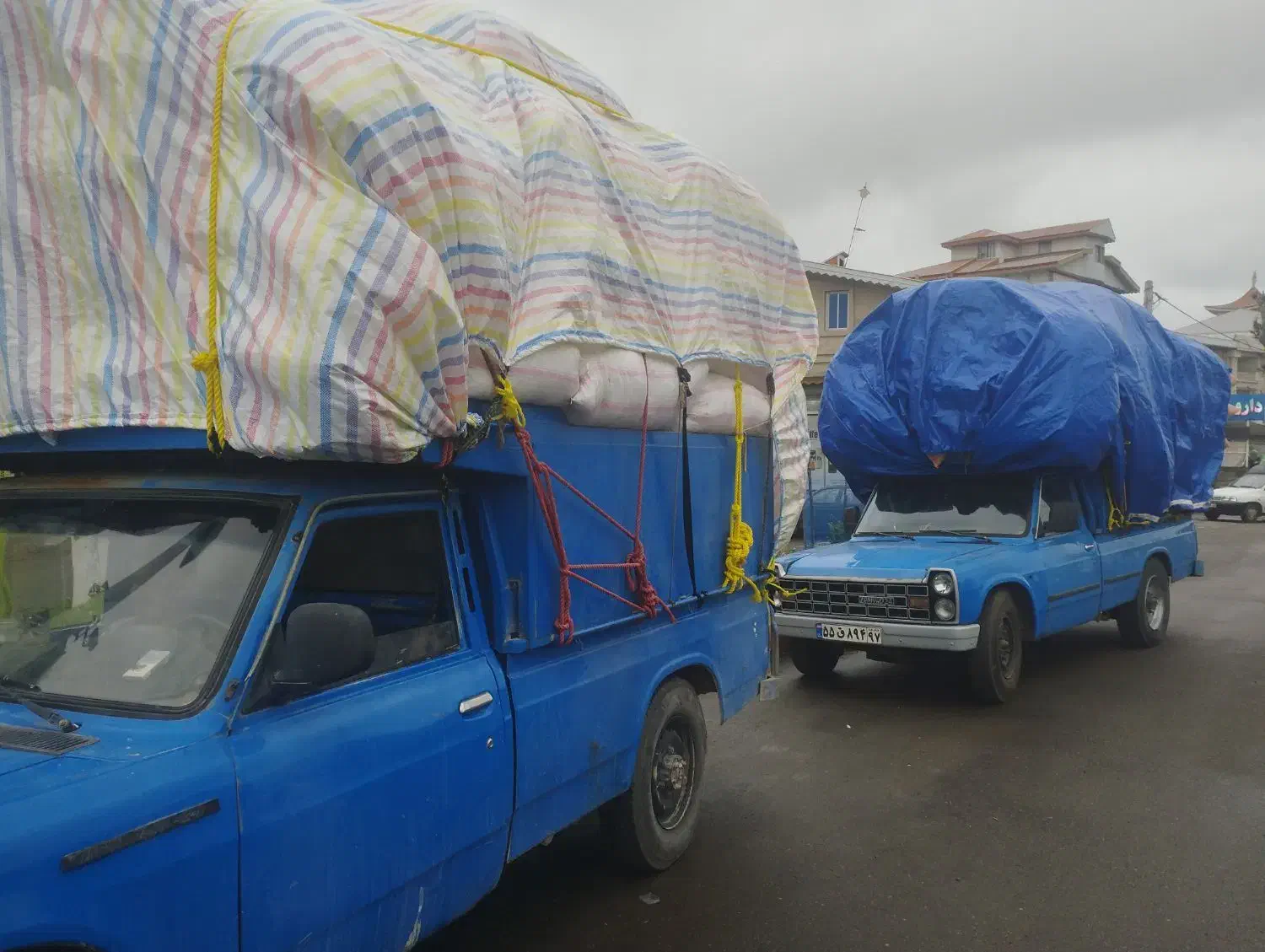 خوراک دام کاه|لوازم جانبی حیوانات|ابهر, |دیوار