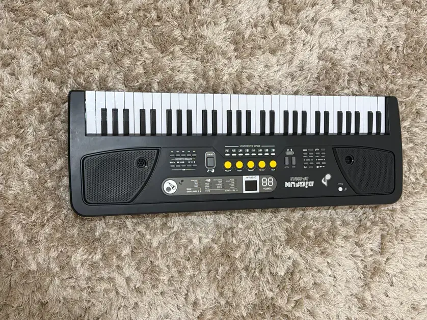 ارگ|پیانو، کیبورد، آکاردئون|ارشق, |دیوار