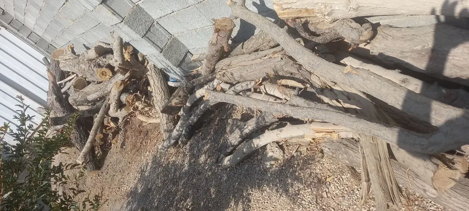 چوب خشک مخصوص ذغال|خدمات باغبانی و درختکاری|خمینی‌شهر, |دیوار