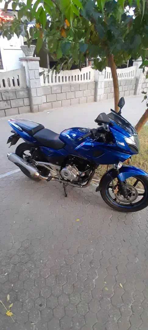 پالس ۲۲۰|موتورسیکلت|بندر انزلی, عباس آباد|دیوار