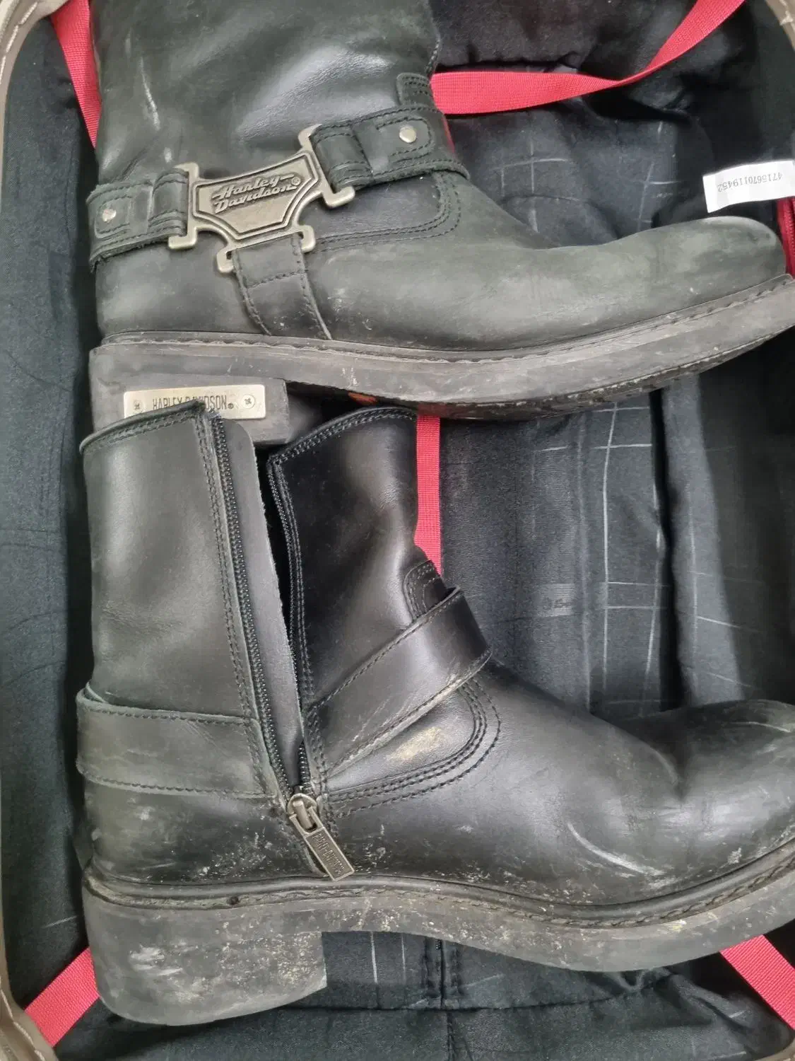 کفش چکمه مارک هالی داوینسون امریکایی|کیف، کفش، کمربند|شاهرود, |دیوار