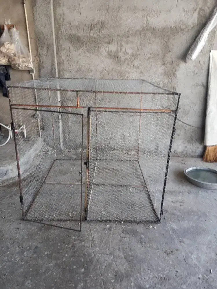 قفس پرنده|لوازم جانبی حیوانات|برازجان, |دیوار