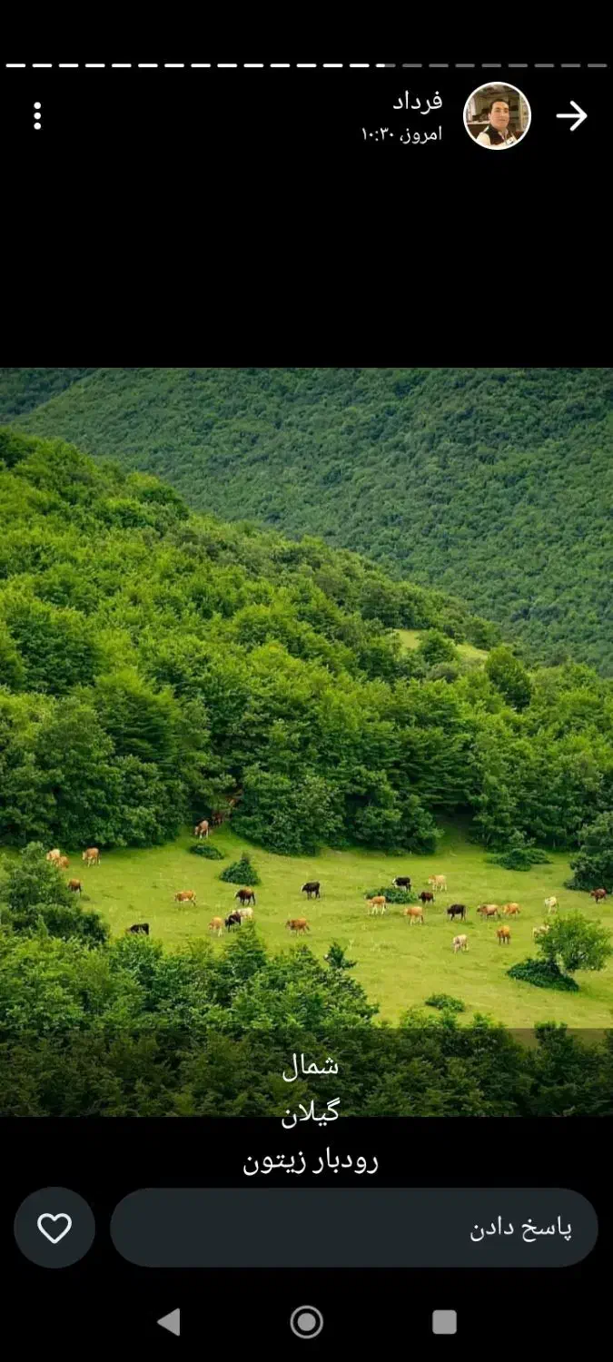 تور مسافرتی ایران گردی سیاحتی زیارتی|تور و چارتر|بندرعباس, |دیوار