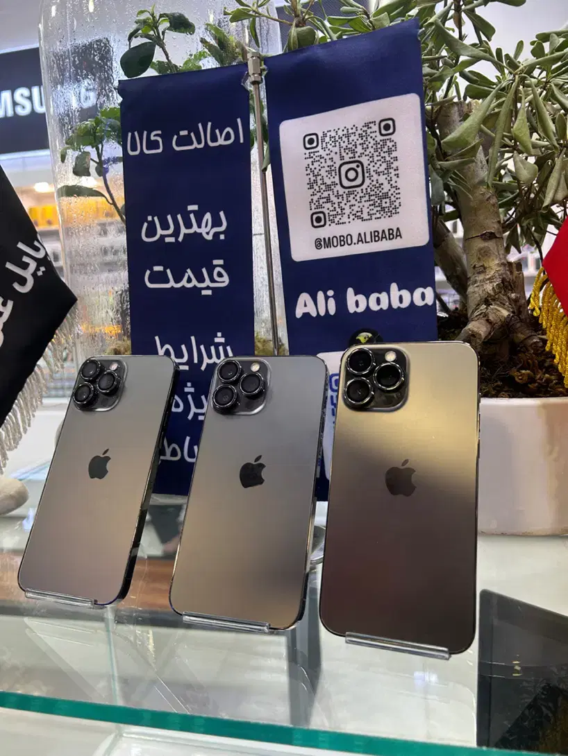 iphone 13 pro max|موبایل|قم, چهل درخت‎|دیوار