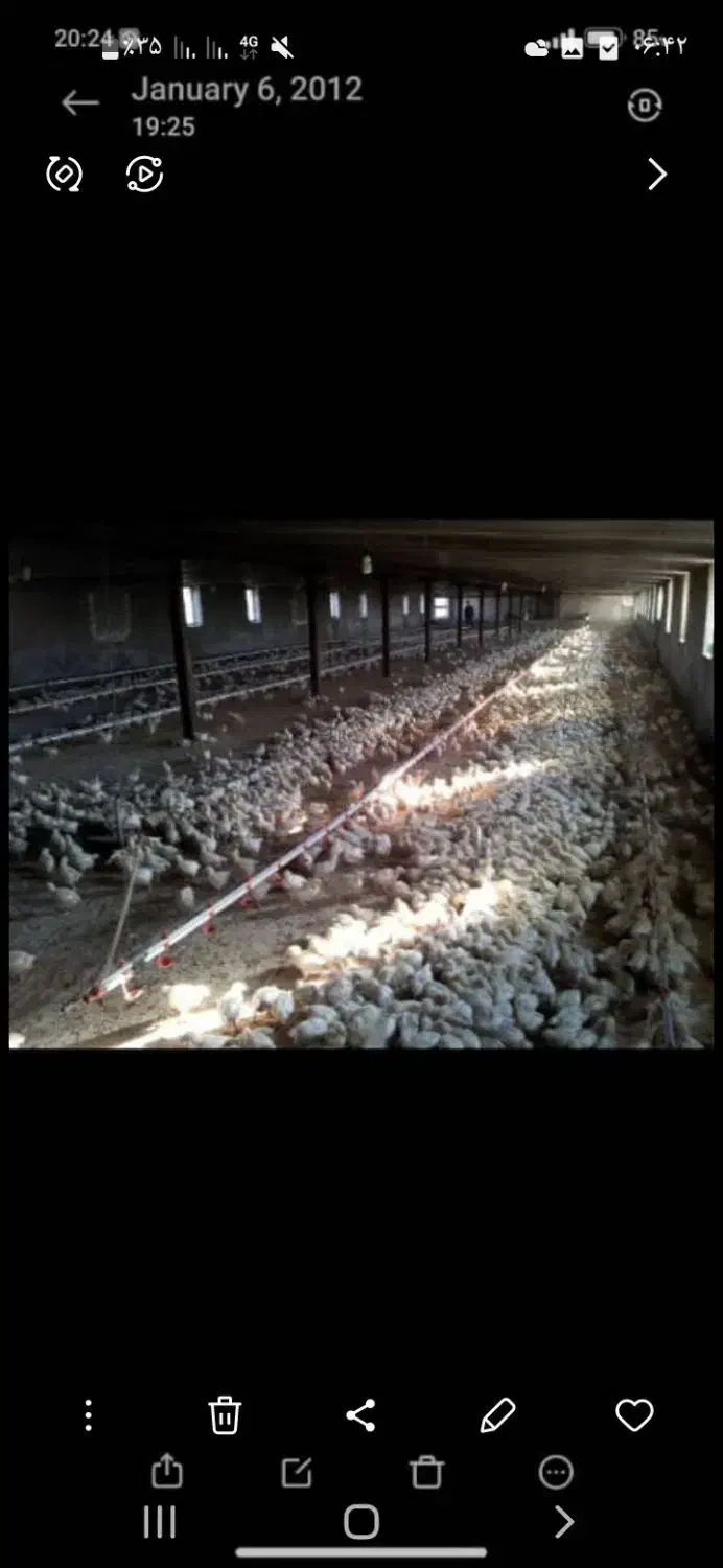 ۳ هکتار زمین سند دار جهت سرمایه‌گذاری|فروش دفتر صنعتی، کشاورزی، تجاری|محمدیه-قزوین, |دیوار