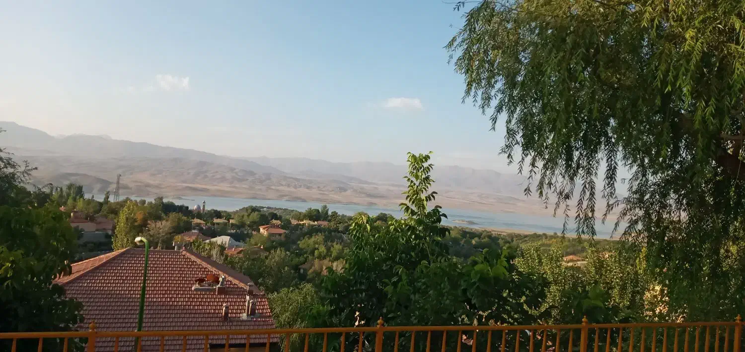 پیدا شده|اشیا|بروجرد, |دیوار