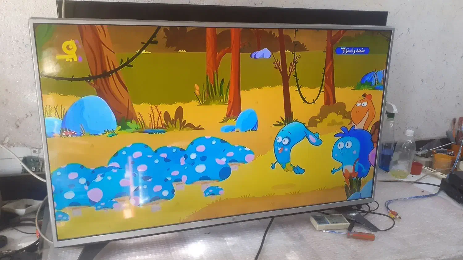 تلویزیون الیدی بست محصول شرکت دوو|تلویزیون و پروژکتور|سبزوار, مدرس|دیوار