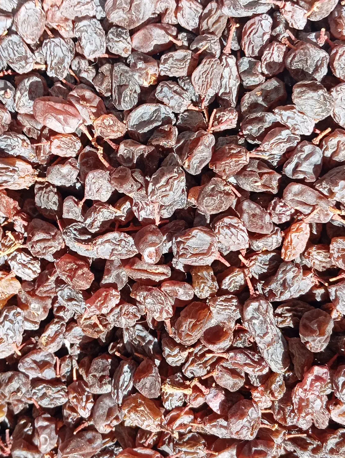 کشمش پلویی|خوردنی و آشامیدنی|شیروان (خراسان), |دیوار