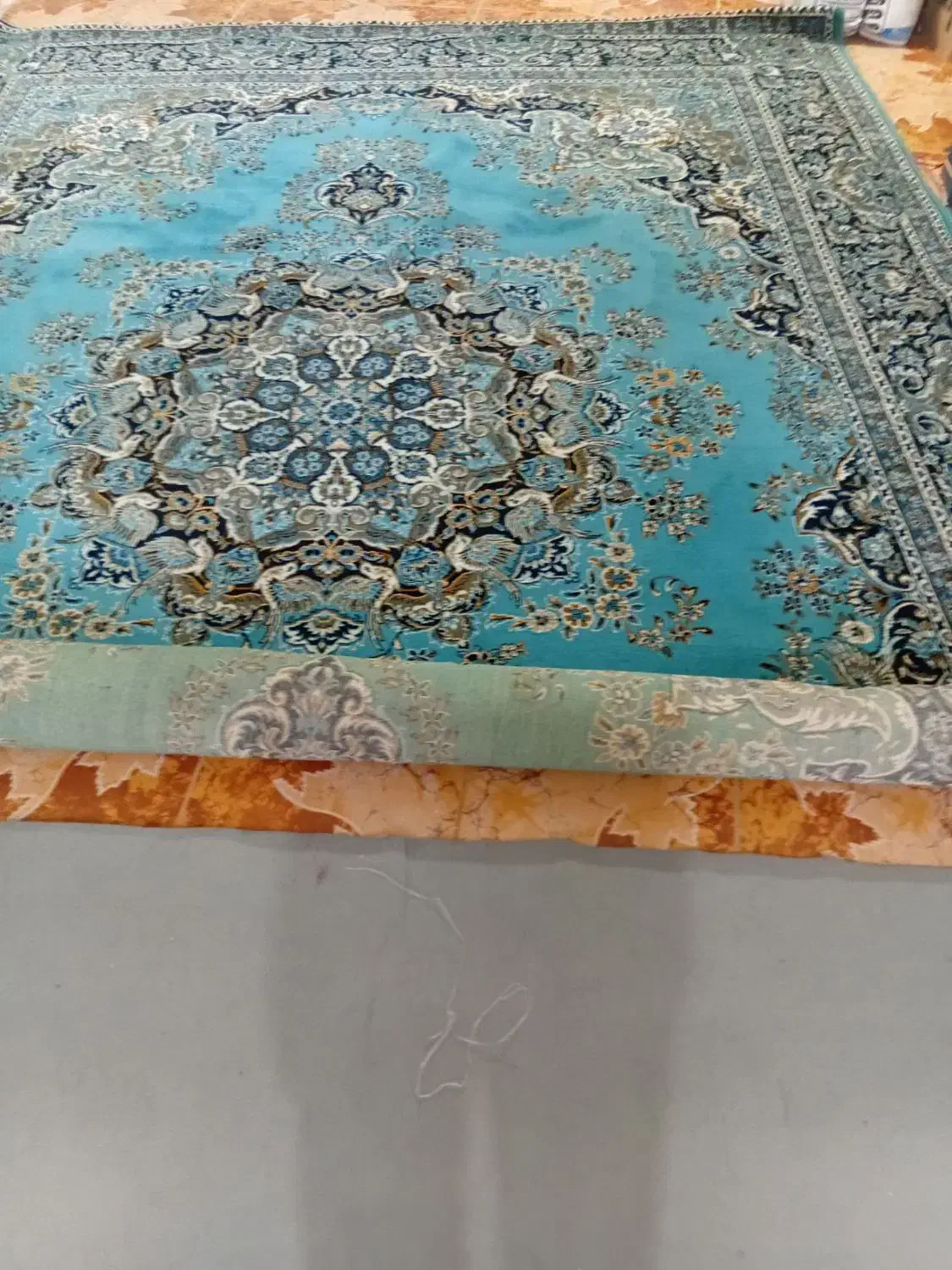 دوعدد فرش|فرش|ایوان, |دیوار