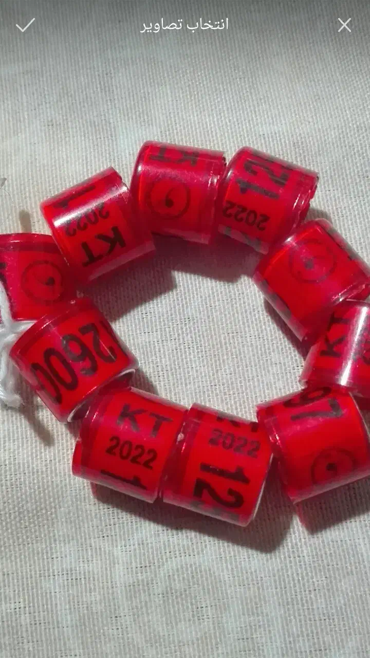 حراج یافروشی هستن|حراج|برازجان, |دیوار