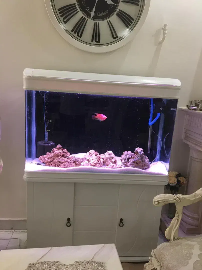 آکواریوم دلسا مدل k1000|ماهی|تهران, ابوذر|دیوار