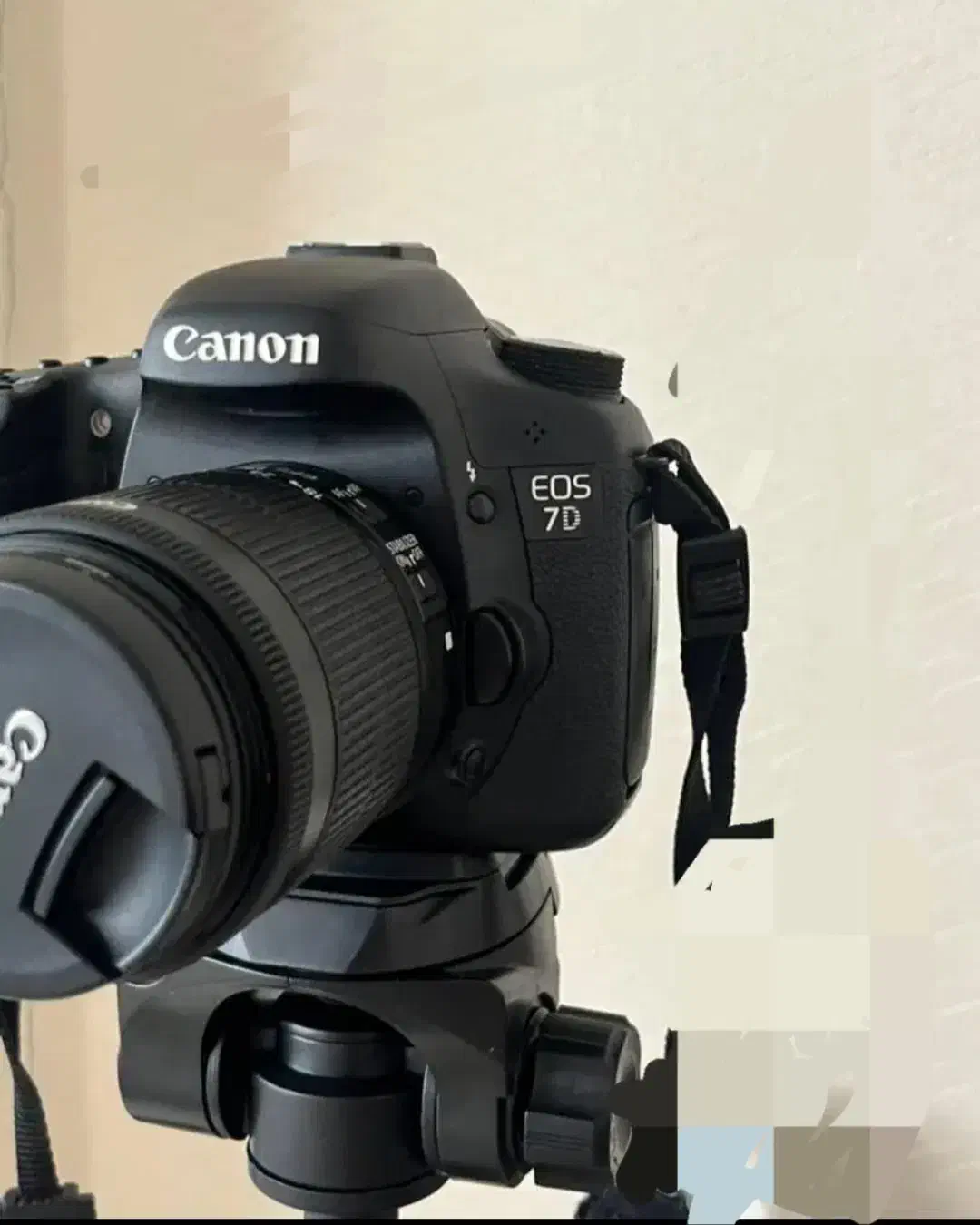 دوربین canon 7d mark2|دوربین عکاسی و فیلم‌برداری|تربت جام, میان جام|دیوار