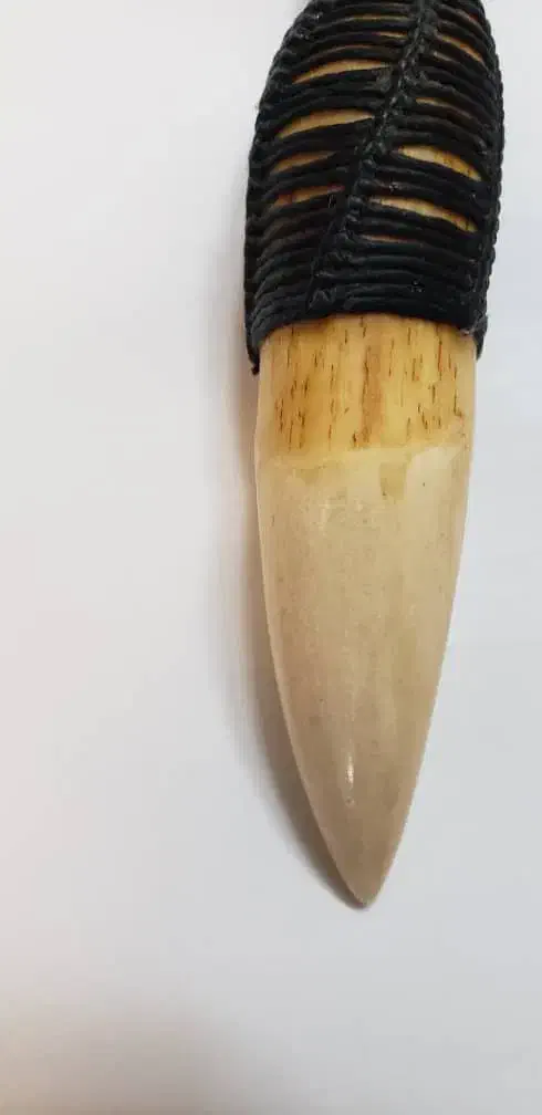 کلکسیونی|کلکسیون اشیاء عتیقه|تهران, مینای جنوبی|دیوار