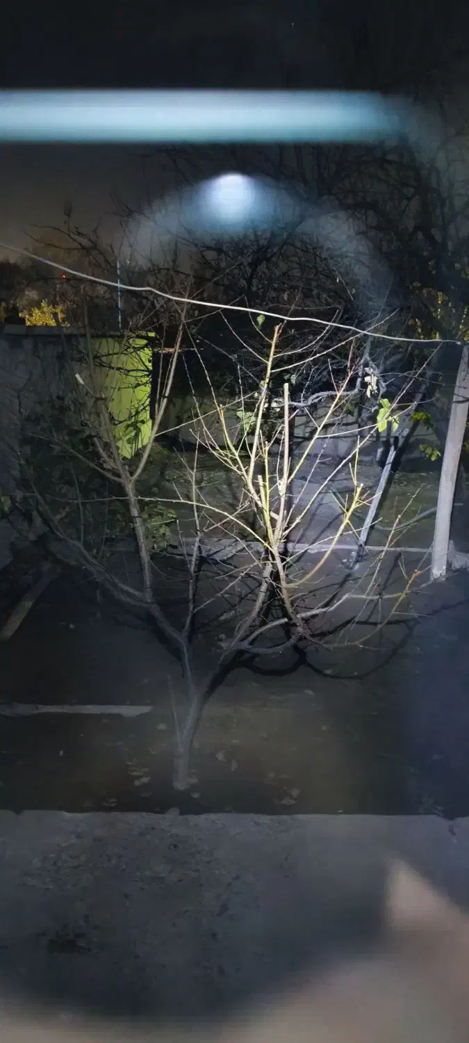 چراغ قوه|لامپ و چراغ|مراغه, |دیوار