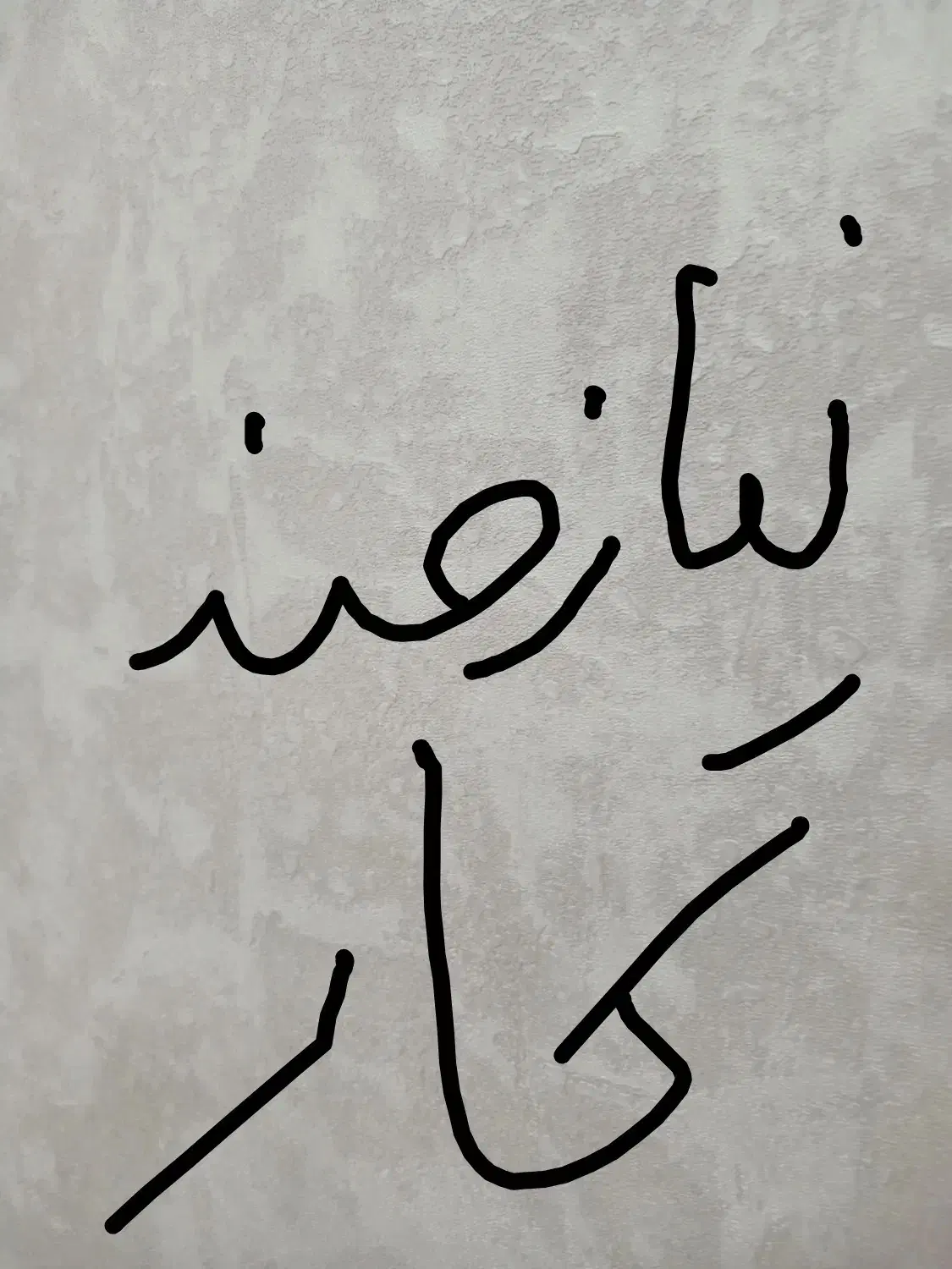 راهنمایی کار|فعالیت داوطلبانه|الشتر, |دیوار