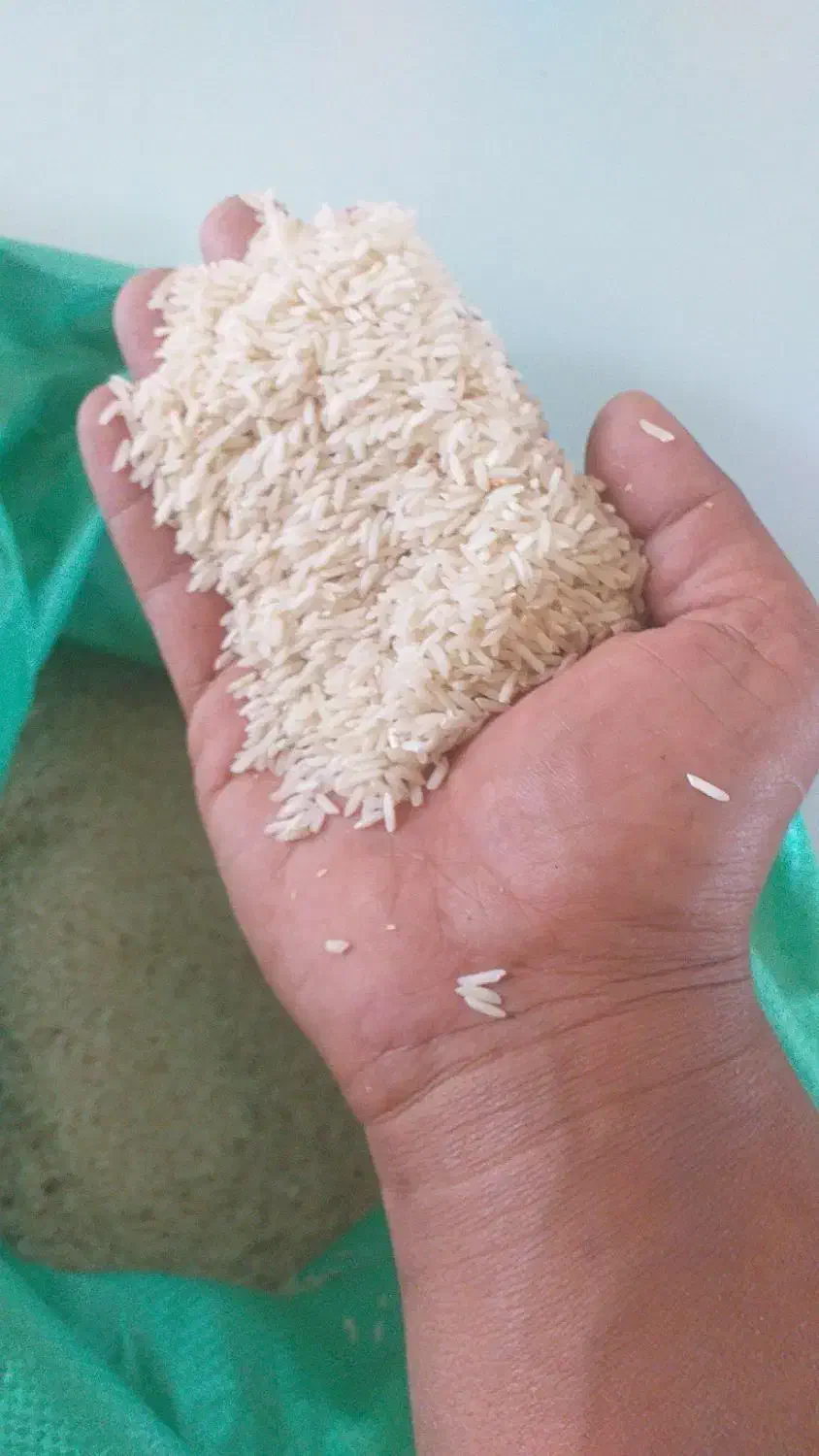 برنج هاشمی|خوردنی و آشامیدنی|سیروان, |دیوار