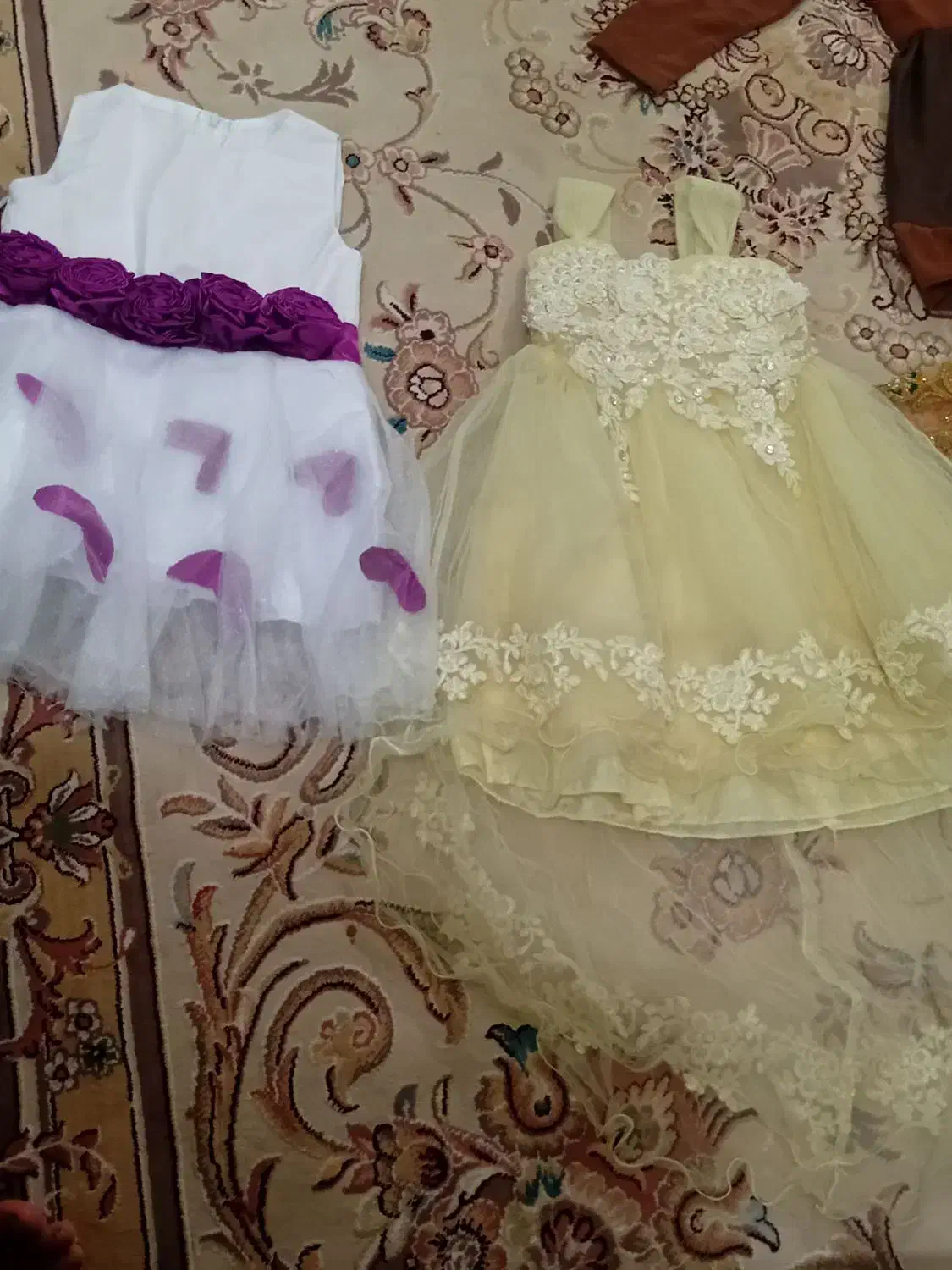 تعداد لباس مجلسی دخترانه و زنانه در رودان|لباس|رودان, |دیوار