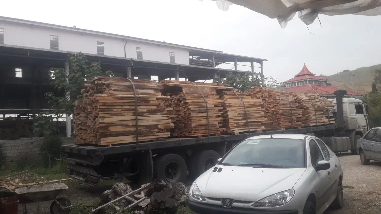 فروش عمده تخته چوب گردو با مجوز|عمدهفروشی|تهران, آجودانیه|دیوار