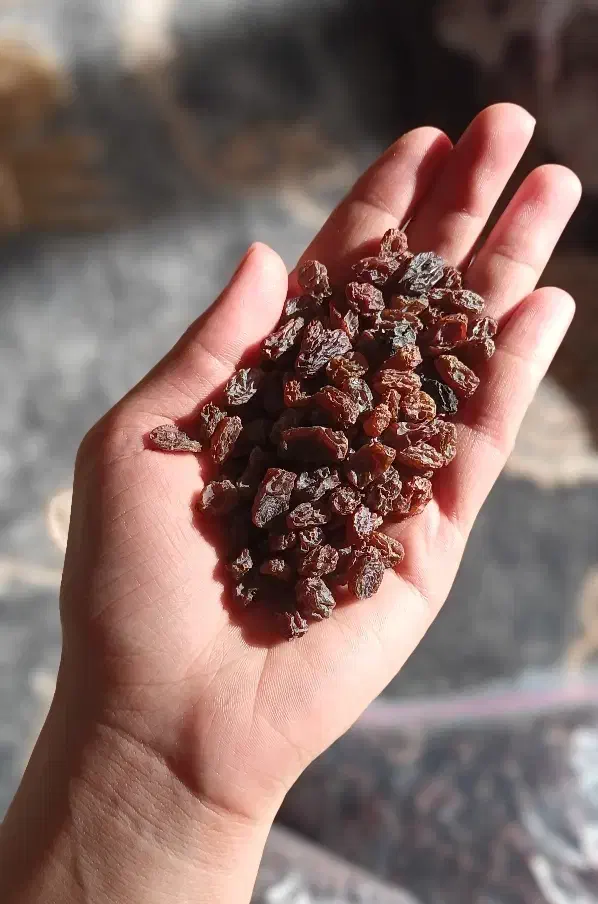 کشمش بیدانه|خوردنی و آشامیدنی|محمدیه-قزوین, |دیوار