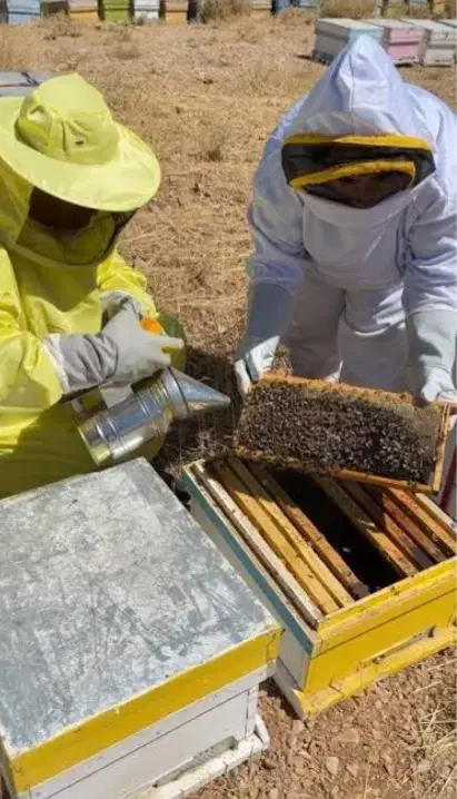 عسل ناب آذربایجان شرقی صددرصد خالص وبدون افزودنی|خوردنی و آشامیدنی|اردبیل, |دیوار