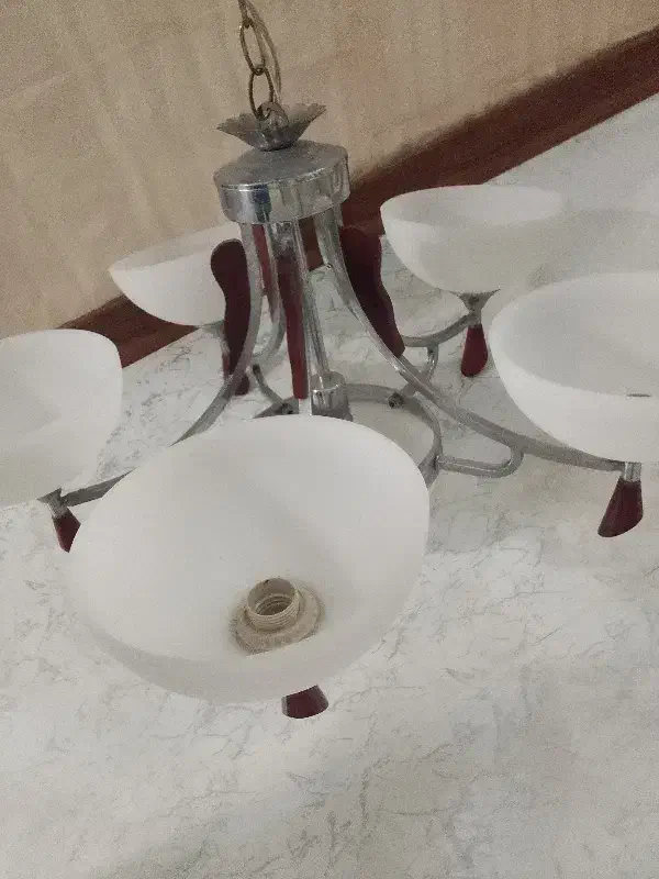 لوستر پنج شاخه|لوستر و چراغ آویز|بندر انزلی, ساحل قو|دیوار