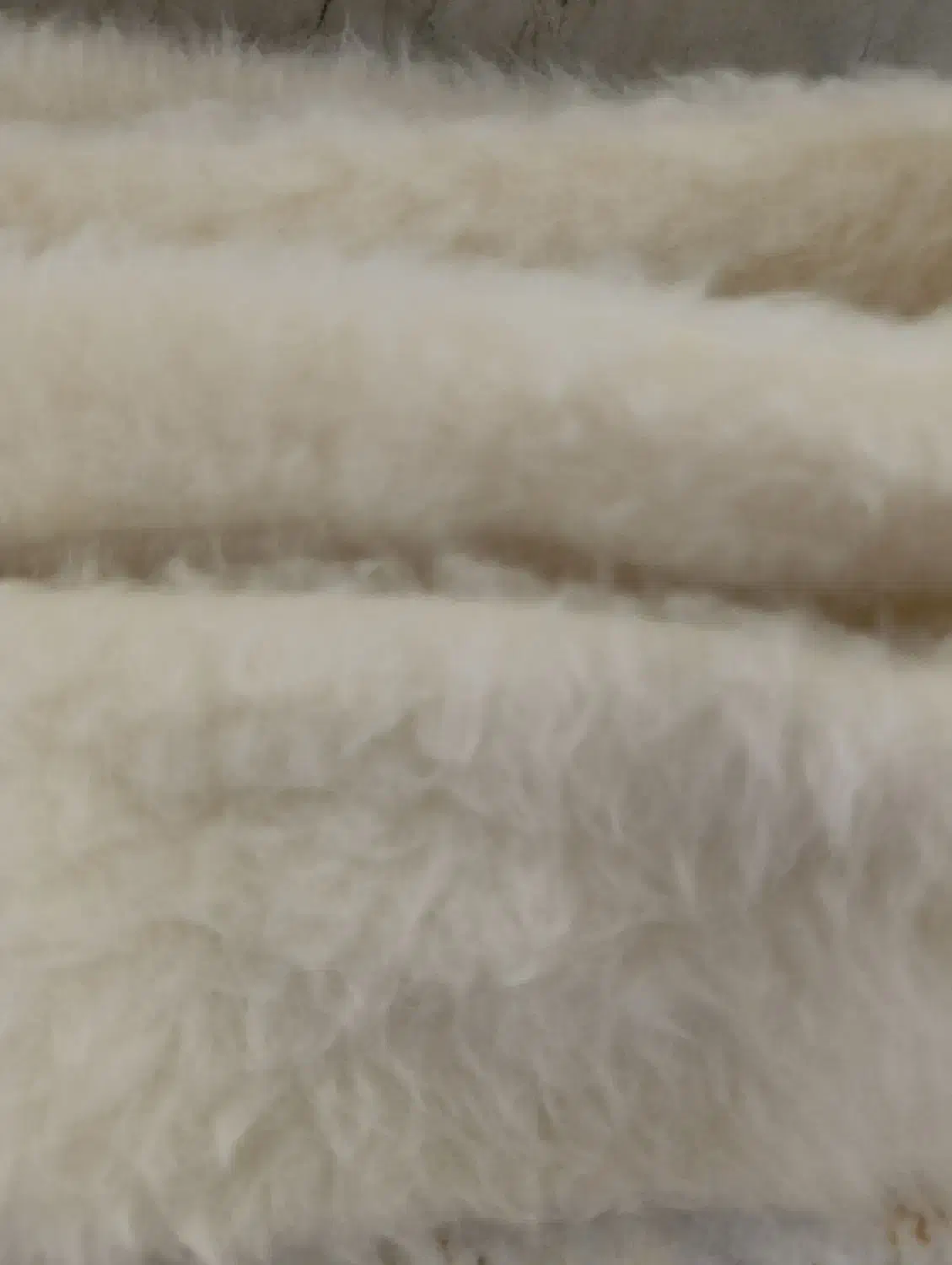 شال و کلاه کرم رنگ|لباس|رشت, باهنر|دیوار