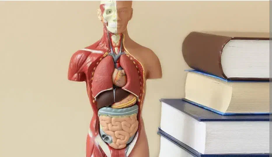 تدریس خصوصی زیست شناسی دبیرستان|خدمات آموزشی|شهرکرد, |دیوار