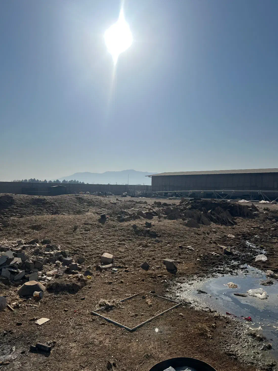 کود گوسفندی کله پاچه گوسفندی|خدمات باغبانی و درختکاری|پلنگ آباد, |دیوار