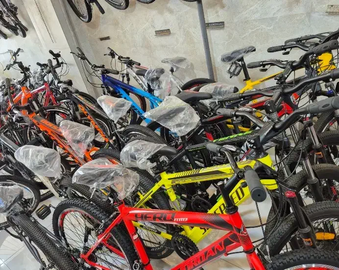 دوچرخه دیسکی لاستیک پهن|دوچرخه، اسکیت، اسکوتر|زرند, |دیوار