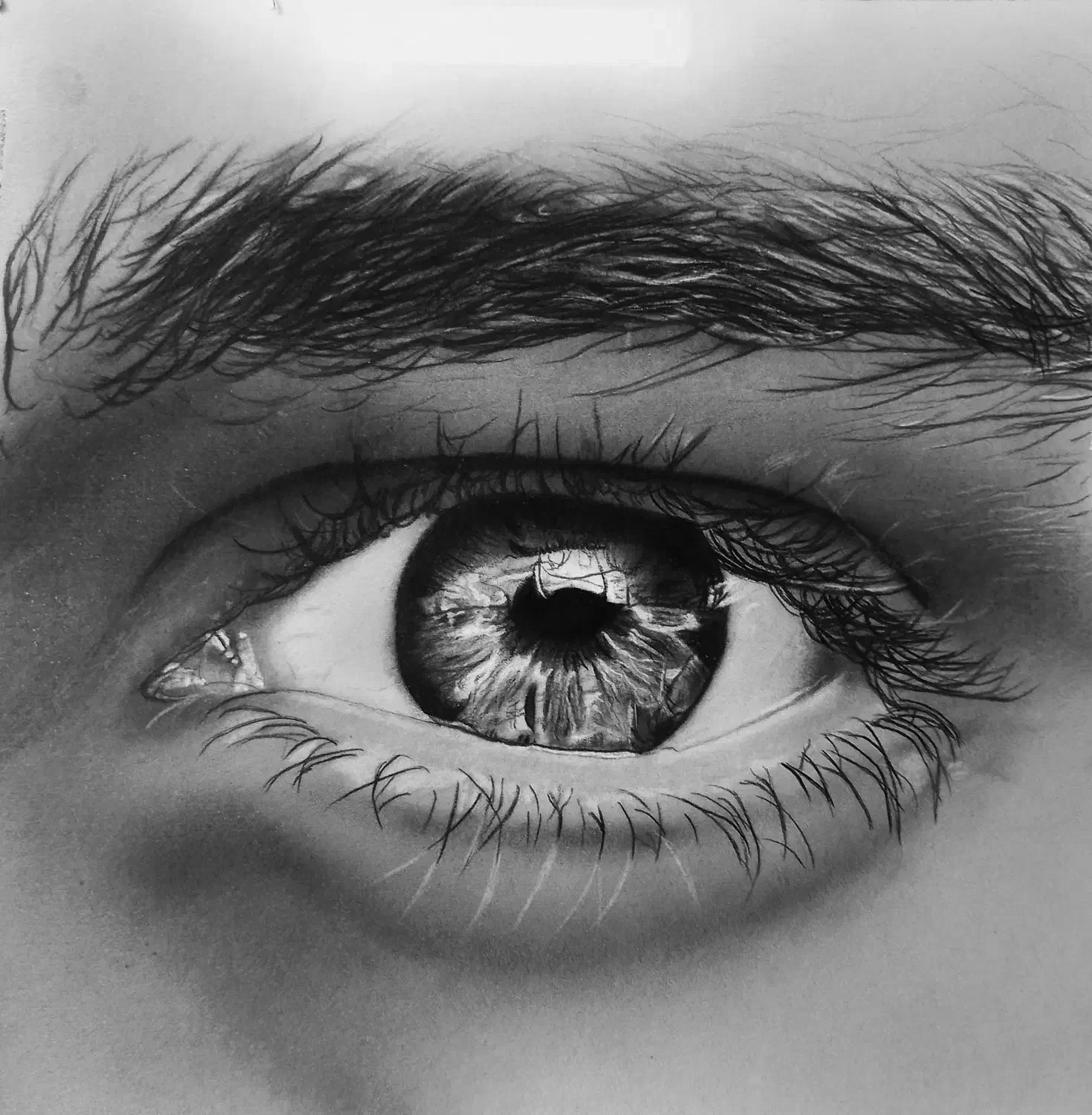 سفارش و آموزش نقاشی سیاه قلم|تابلو، نقاشی، عکس|الوند, |دیوار