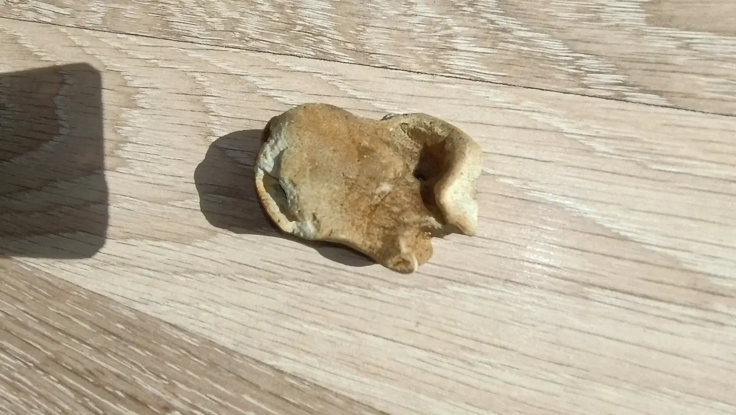 سنگ های زیبای کنار دریا|صنایع دستی و سایر لوازم تزئینی|تهران, شهرک آتی شهر|دیوار