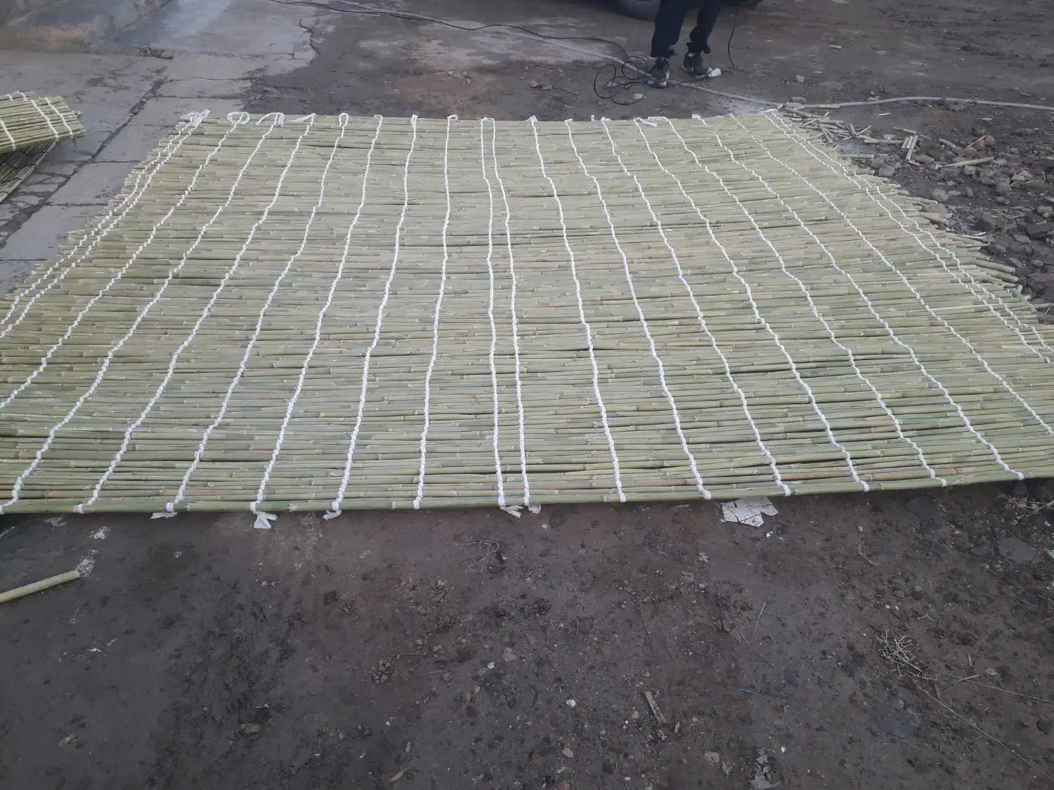 حصیرقامیش|صنایع دستی و سایر لوازم تزئینی|گنبد کاووس, |دیوار