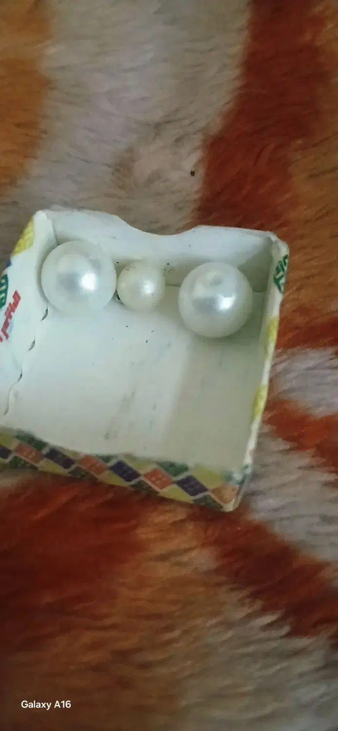 مروارید طبیعی خلیج فارس|بدلیجات|تبریز, |دیوار