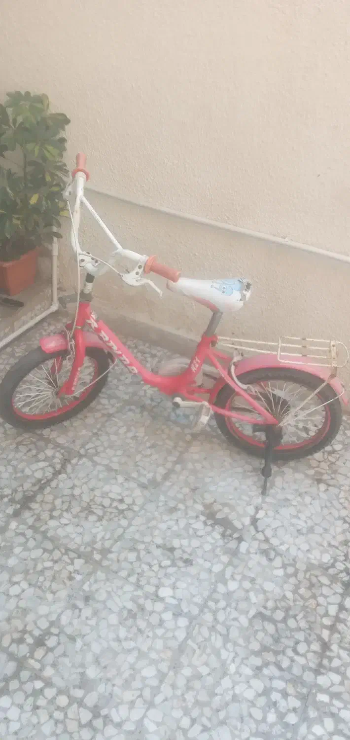 دوچرخه|دوچرخه، اسکیت، اسکوتر|رشت, کوی قدس|دیوار